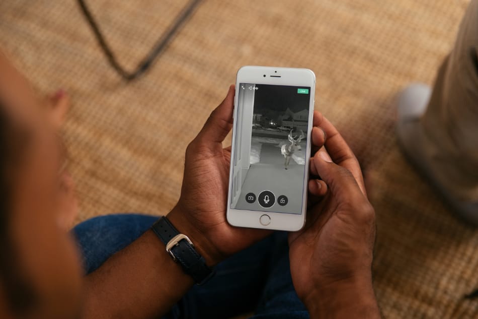 Harlem GA security system